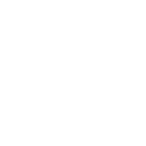 Evolución Fitness