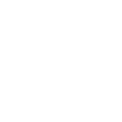 Priscilla Burguete