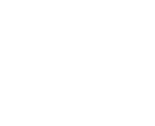 Vamo